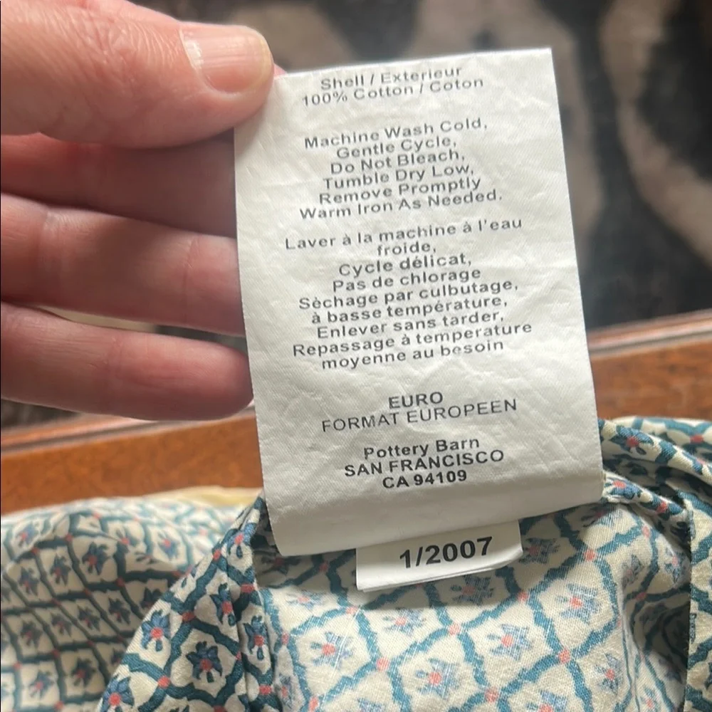 Pottery Barn euro sham x 2